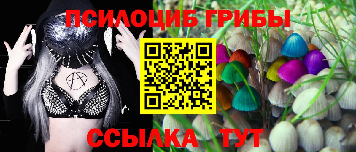 Галлюциногенные грибы мухоморы Зима