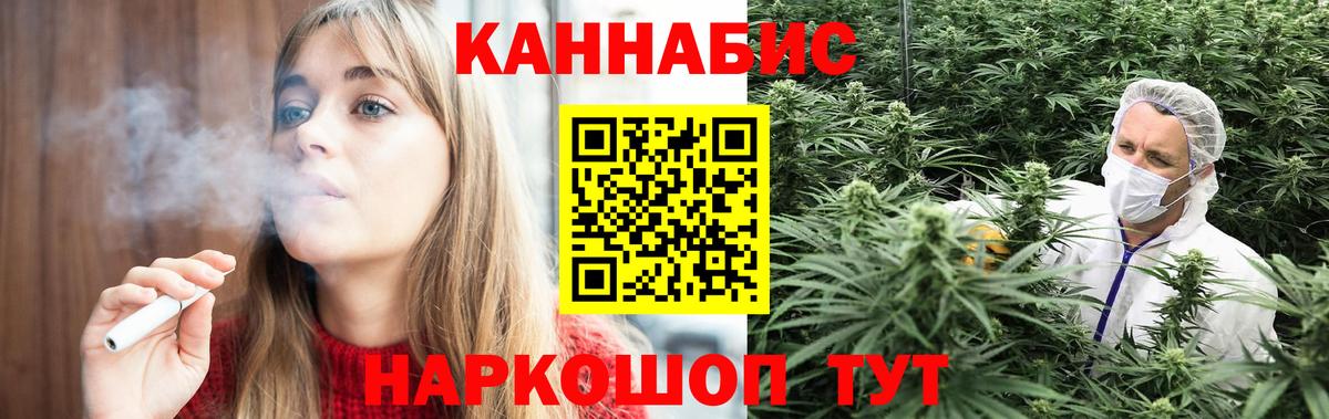 Каннабис ГИДРОПОН Зима